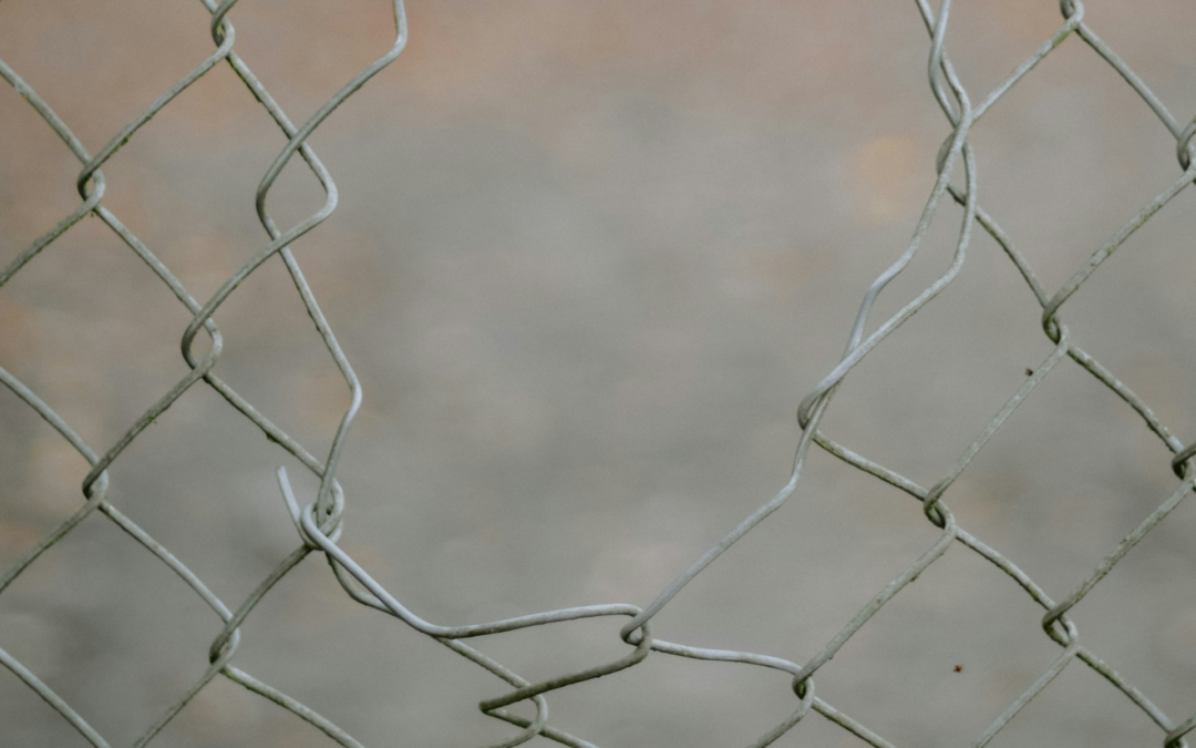 Wet Zorg en Dwang (WZD) – Leren omgaan met (on)vrijheid
